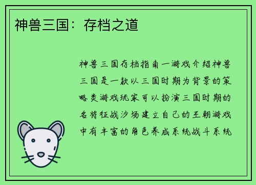 神兽三国：存档之道